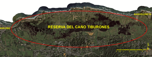 Ca-oTiburones~~element71